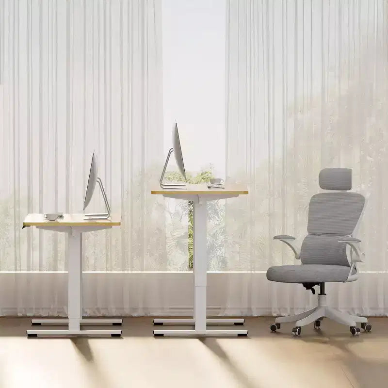 Electric Height-Adjustable Standing Desk with Solid Desktop