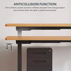 Electric Height-Adjustable Standing Desk with Solid Desktop